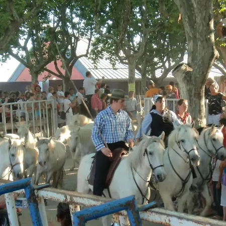 Bluemaya A Motte La Grande-Motte