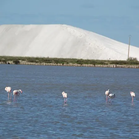 Bluemaya A Motte * La Grande-Motte