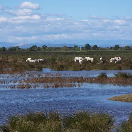 Apartment Bluemaya A Motte *