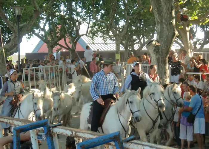 Bluemaya A Motte La Grande-Motte