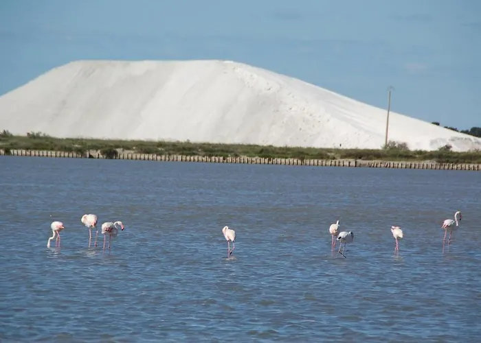 Bluemaya A Motte * La Grande-Motte